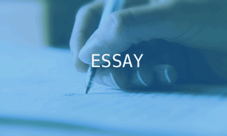 Buy Essay Online Now 