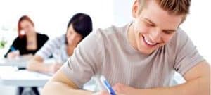 Professional Essay Writer Services